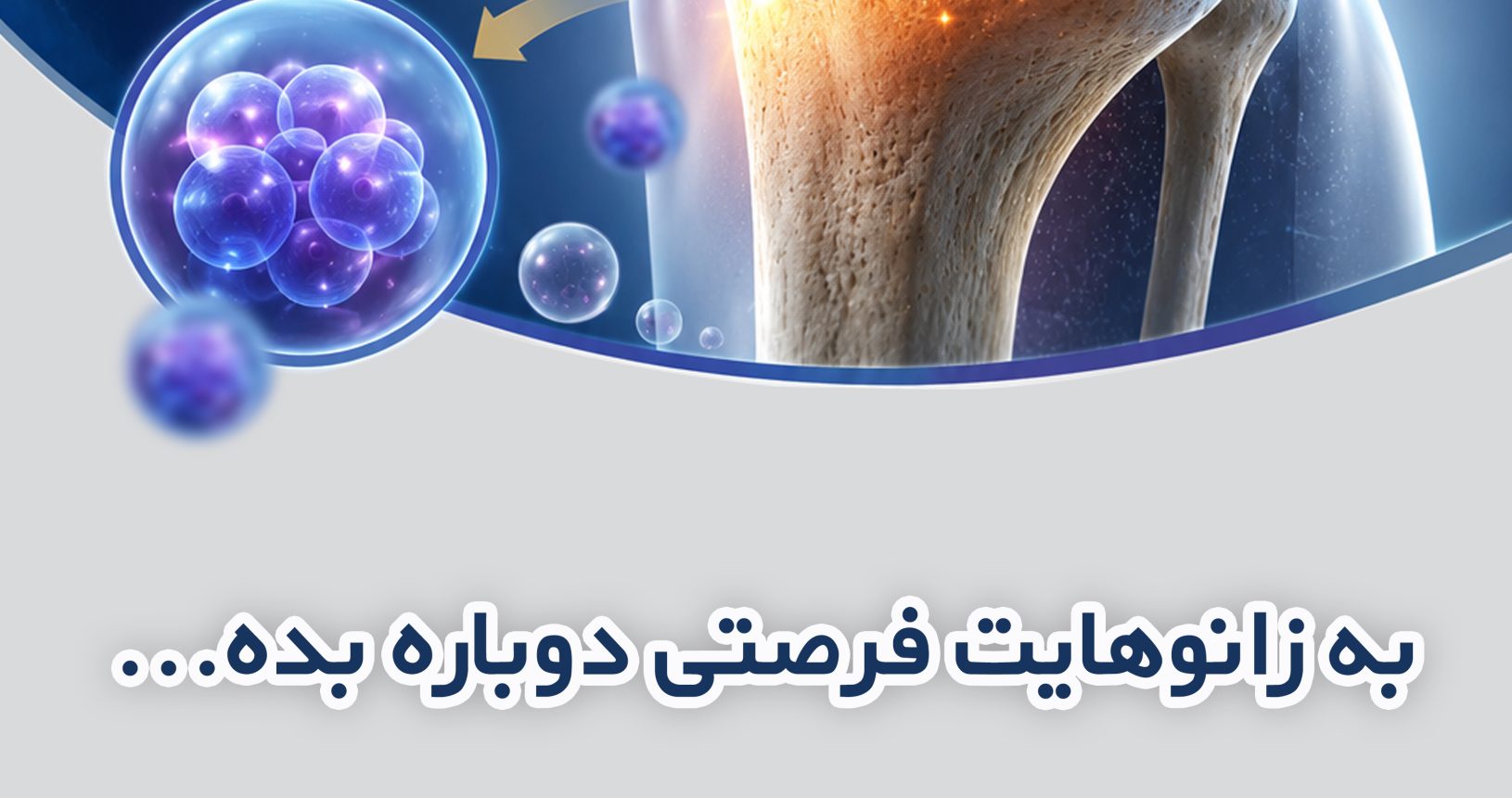 استند - وارتوسل copy